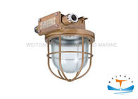 Waterproof Marine Lighting Equipment , 220Volt 60Watt Incandescent Pendant Light